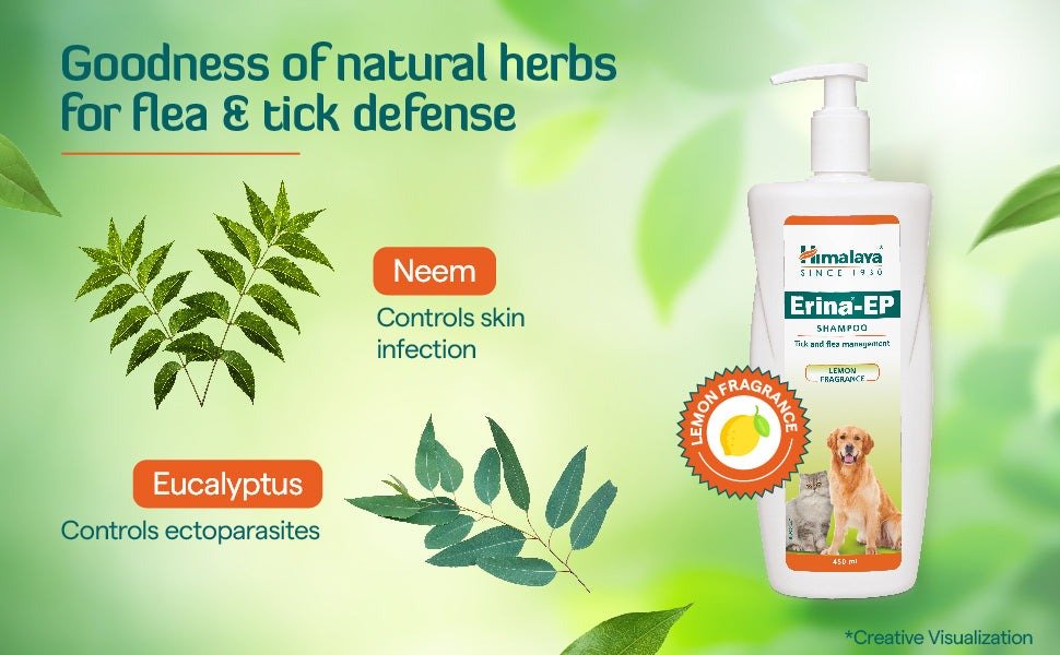 Himalaya Erina EP Tick & Flea Shampoo